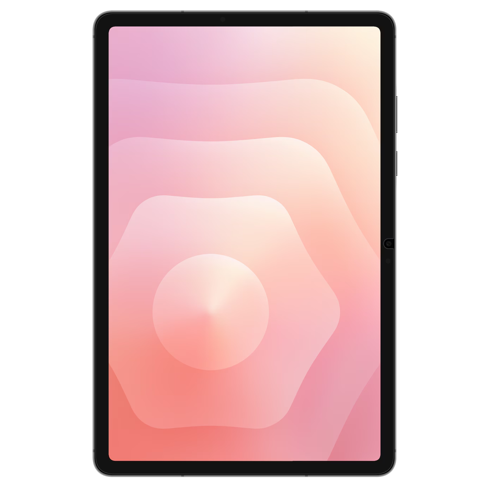 Screen Protector