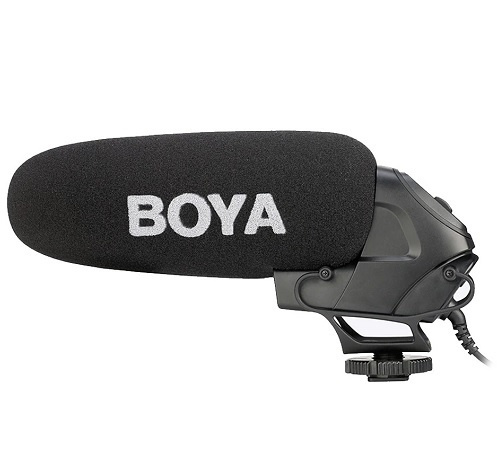 Camera microphone