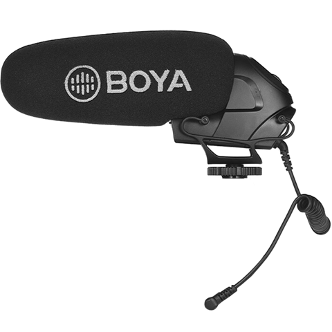 Camera Audio