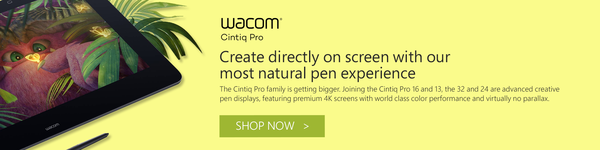 Wacom Cintiq & Cintiq Pro