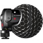 RODE Stereo VideoMic X On-Camera Microphone 40 Hz to 20 kHz Frequency Response , High Frequency Boost Pop Shield and Wind Shield Included, For DSLR Camera
