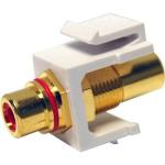 Dynamix AVP-RCA-RE RCA to RCA Keystone Adapter - Red Gold Plated