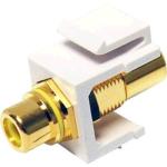 Dynamix AVP-RCA-YE RCA to RCA Keystone Adapter - Yellow Gold Plated