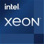 Intel Xeon W-1350P CPU 6 Core / 12 Thread - 4.0GHz - 12MB Cache - LGA 1200 - 125W TDP - P750 Graphics