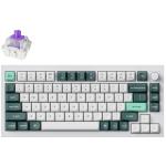 Keychron Q1H-P1  Q1 HE 75% QMK Fully Assembled Knob Shell White Gateron Double-Rail Magnetic Nebula Switch Wireless Custom Keyboard