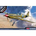 Academy - 1/48 - USAAF P-51 - North Africa