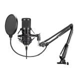 PHILEX PHM-5050 USB Microphone With Arm