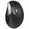 Rapoo EV250 Silent Wireless Ergonomic Mouse Rapoo EV250 Silent Wireless Ergonomic Mouse
