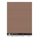 Clairefontaine 396168C Pastelmat Paper 100x140cm Brown, Pack of 5 INDENT ONLY