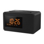 Panasonic RC-800 FM Clock Radio - Black Large Display - 10 Station Presets & Dual Alarm Timer