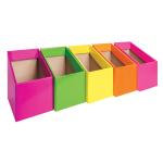 EC Elizabeth Richards Book Box - Fluoro Pack Mixed - Pack of 5