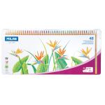 Milan Coloured Pencils Thick Lead Hexagonal Pack of 48 Metal Box