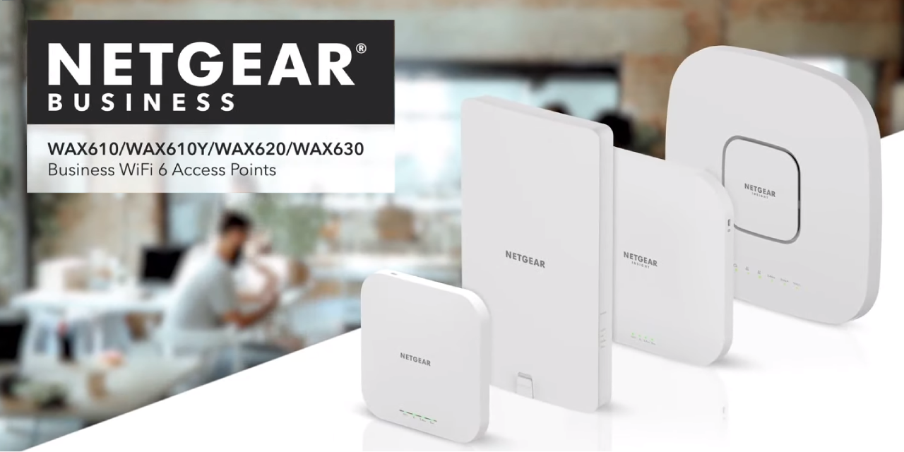 Netgear Business Access Points