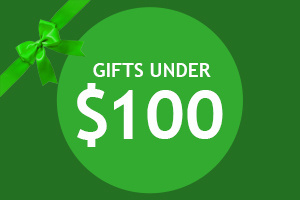Christmas gifts under $100