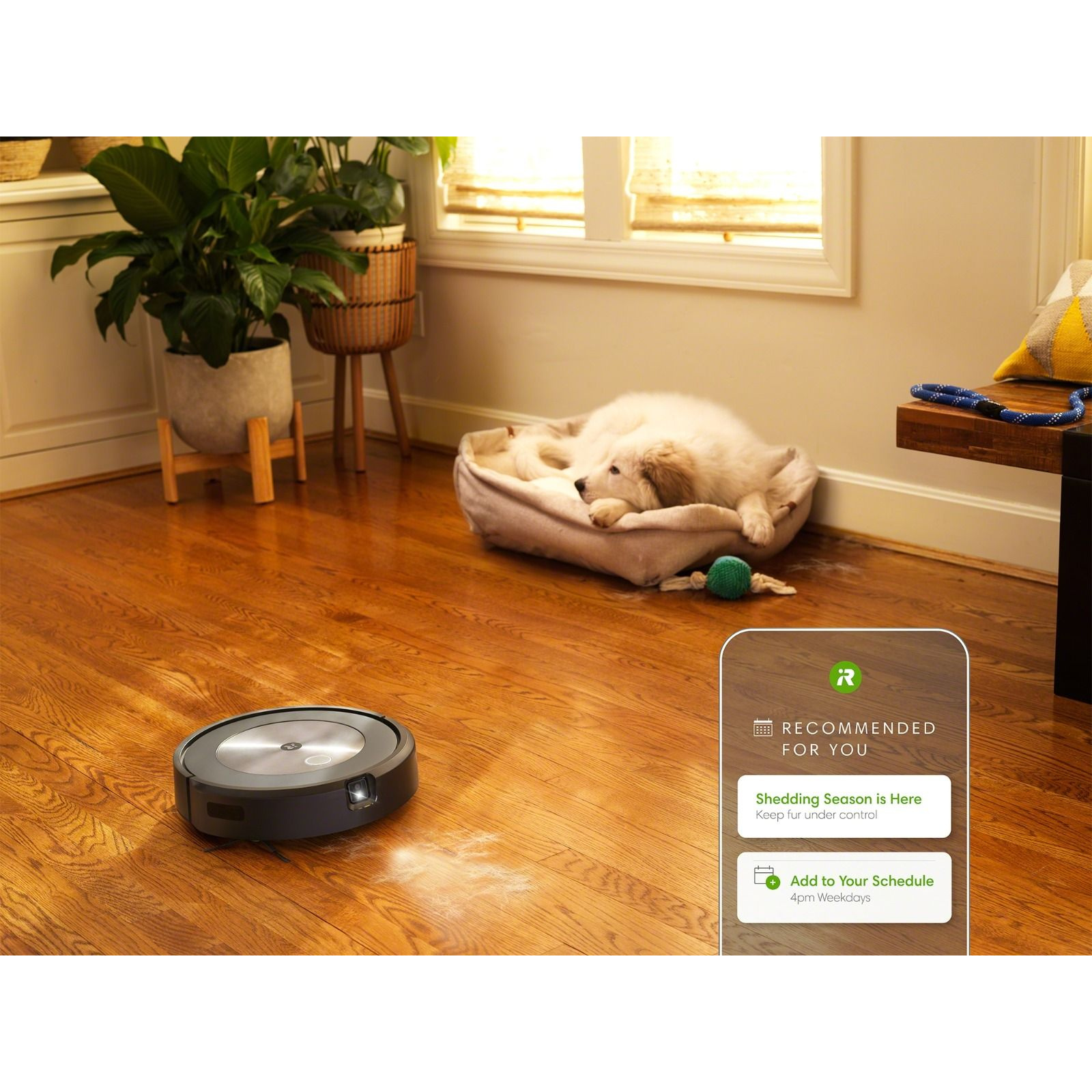Buy the iRobot Roomba J7 Smart Robot Vacuum Cleaner Sweeping Only (  j715800 ) online 
