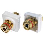 AMDEX FP-BINP-RE Red Speaker Binding Post      Gold Plated