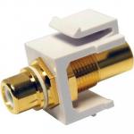 Dynamix AVP-RCA-WH White RCA to RCA Keystone   Adapter. Gold Plated