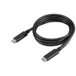 Lenovo 4X90U90619 USB-C Cable - 1m Male to Male