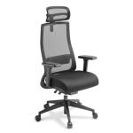 Eden Office Joe Ergonomic Office & Gaming Chair With Headrest & Armrest