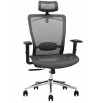 Loctek YZ101 Ergonomic Office Chair, Passed AS/NZS 4438:1997 NZ Standard For Height adjustable swivel chairs. With Backrest and Armrest, Adjustable lifting headrest with hanger help you release your neck and take care