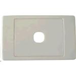Dynamix FP-1PV2 AMDEX Single Port Face Plate