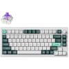Keychron Q1H-P1 Q1 HE 75% QMK Fully Assembled Knob Shell White Gateron Double-Rail Magnetic Nebula Switch Wireless Custom Keyboard Keychron Q1H-P1 Q1 HE 75% QMK Fully Assembled Knob Shell White Gateron Double-Rail Magnetic Nebula Switch Wireless Custom Keyboard