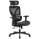 Brateck CH05-31 SpineX Ergonomic Office Chair with Posture Enhancement - Human Engineering Curved Design, Breathable Mesh Back, Height Adjustable Armrests, Non-Marking Casters, Adjustable Headrest
