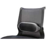 Fellowes Ispire 9311601 I-Spire Series Lumbar Cushion Polyester