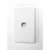 AMDEX FP-1PV3 Single Port Face Plate AMDEX FP-1PV3 Single Port Face Plate