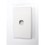 AMDEX FP-1PV3 Single Port Face Plate