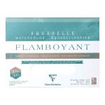 Clairefontaine 975064C Flamboyant Pad 24x32cm 300g 20sh
