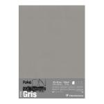 Clairefontaine 975812C PaintON Paper Grey 50x65cm, Pack of 15