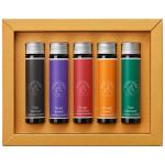 Herbin Jacques  Essential Ink 15ml Solaris - Pack of 5