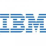 IBM MS Windows Remote Desktop Services CAL 2012 (1 User)- Multilanguage