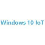 Microsoft Windows10 IoT enterprise 64bit OEM Sticker, LTSC MultiLang ESD OEI for i7 CPU