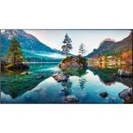 Vestel WU55B-2H Vestel 55in Ultra Narrow Wall Display
