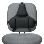 Fellowes 8037617 Professional Series Back Support
