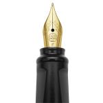Moleskine KAWFOUNTPENFBK Kaweco Fountain Pen F Nib Black