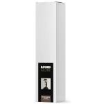 ILFORD 2002746  Galerie FineArt Canvas Galicia 450gsm 17" 43.cm x 15m Roll