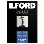 ILFORD 2002866  Galerie Matt Cotton Medina 320gsm 24" 61cm x 15m Roll