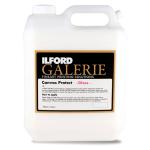 ILFORD 2005053  Galerie Canvas Protect Gloss 4L