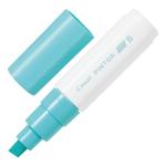 PILOT MARKERS SW-PT-B-PG  Pintor Marker Broad Pastel Green (SW-PT-B-PG)