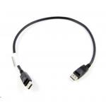 Lenovo 0B47396 DisplayPort Cable - 50cm