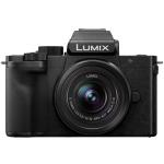 Panasonic Lumix G100D Compact Digital Camera - Black
