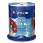 Verbatim 95144 CD-R 700MB 100Pk SLVR Inkjet 52X