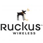 Ruckus ZoneDirector 1205 with 2 x GbE with 5 AP Licenses, Support up to 150 APs, 4000 Clients