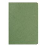 Clairefontaine 733163C Age Bag Notebook A5 Lined Green