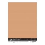 Clairefontaine 396169C Pastelmat Paper 100x140cm Sienna Pack of 5 INDENT ONLY
