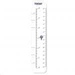 Dayplanner Refill Today Ruler Pack 2 Personal Edition