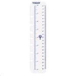 Dayplanner Refill Dk1008 Today Ruler Pack 2 Desk Edition